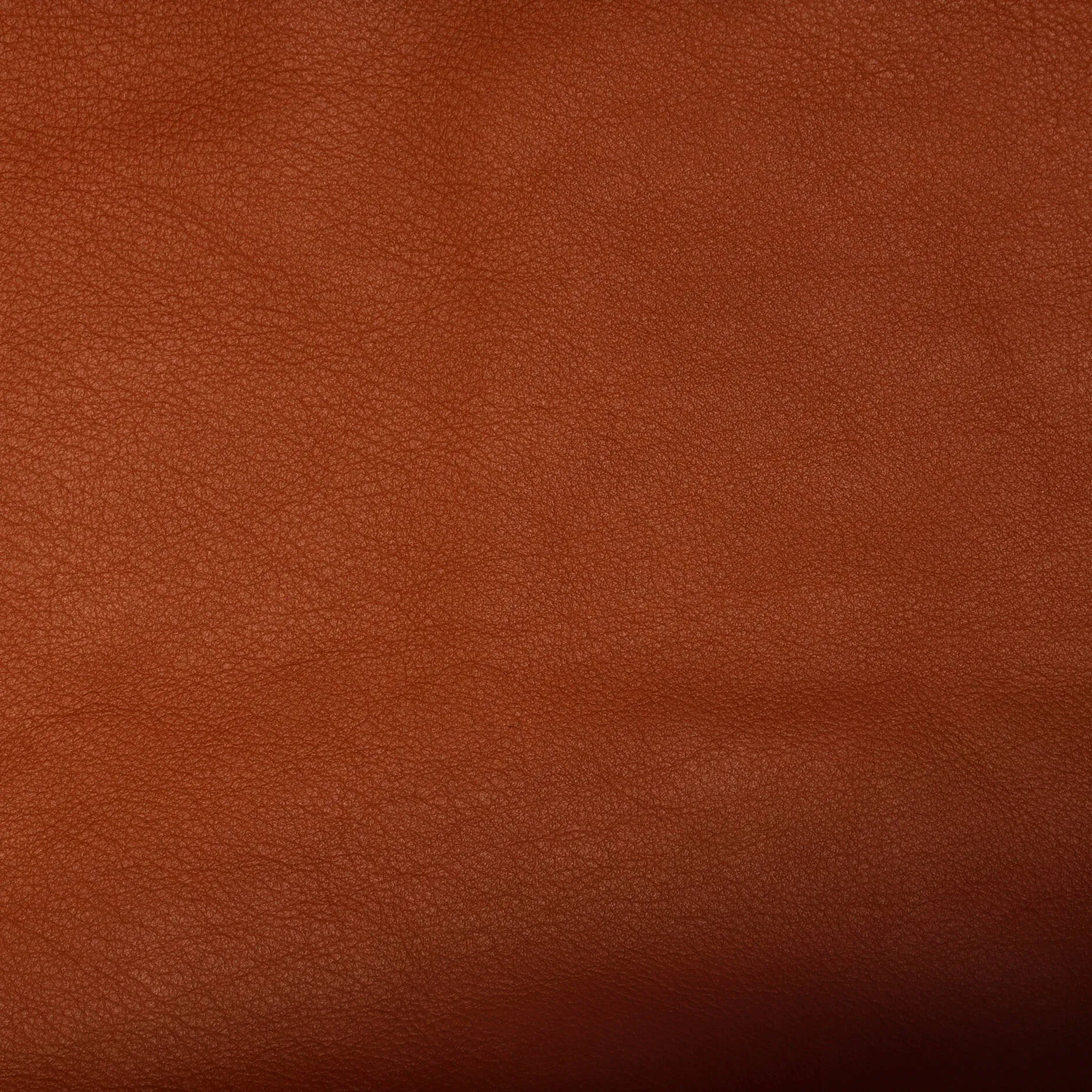 Anjou Reversible Tote Coated Canvas GM