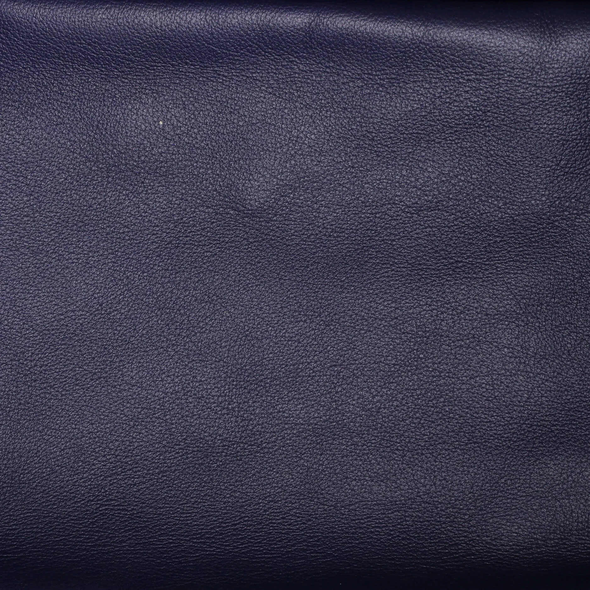 Anjou Reversible Tote Embroidered Coated Canvas PM