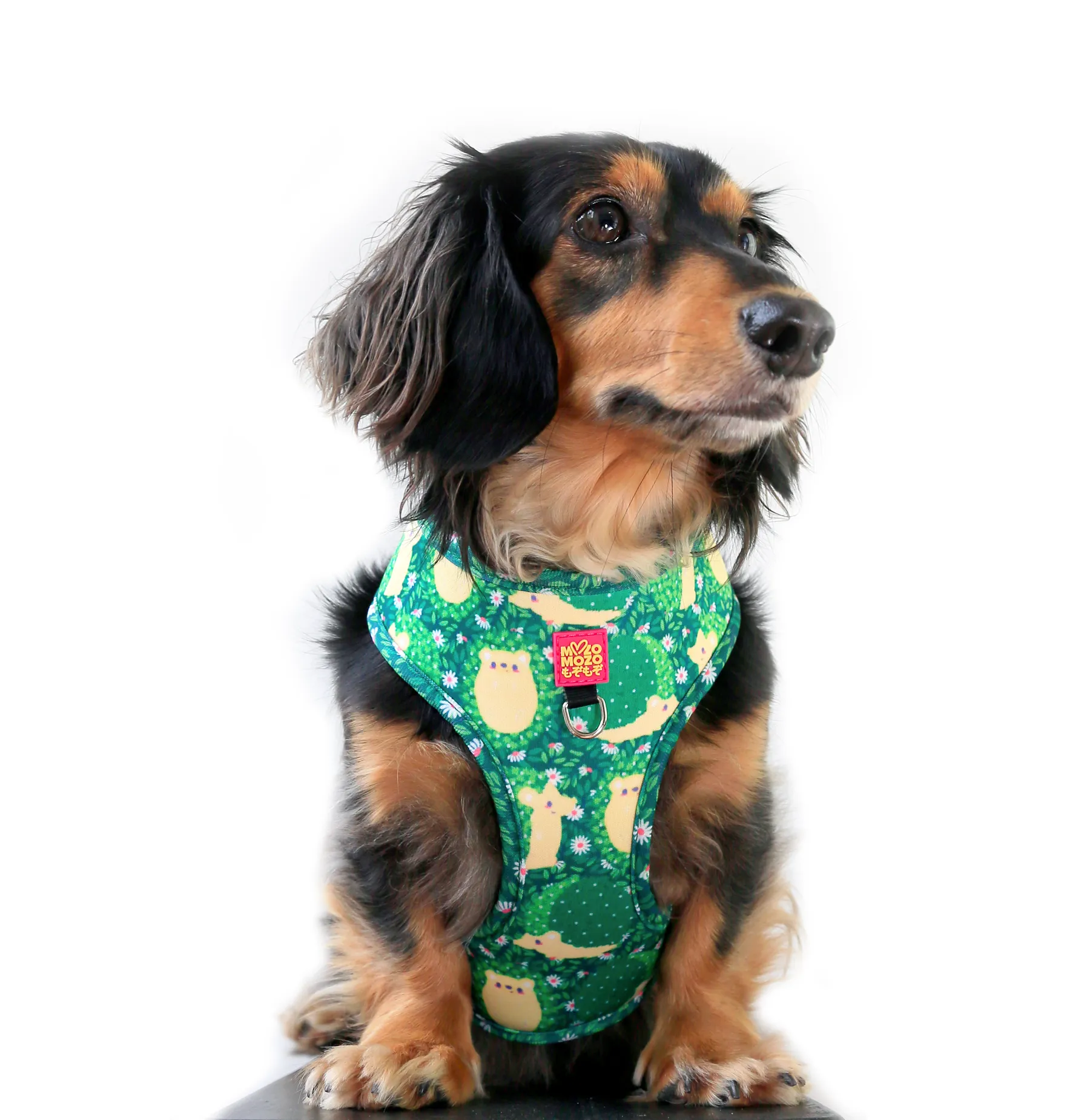 Hedge-hog harness
