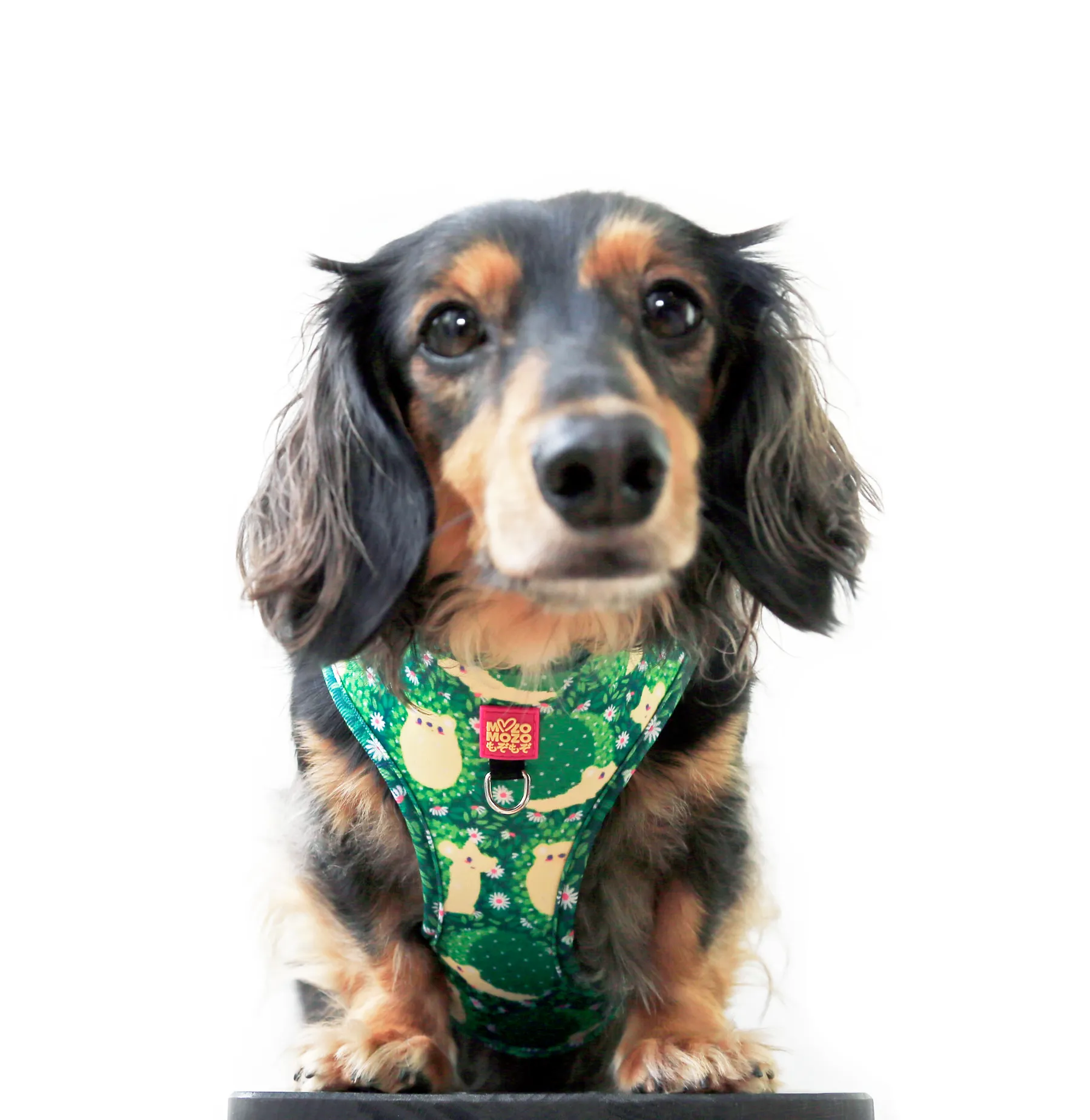 Hedge-hog harness