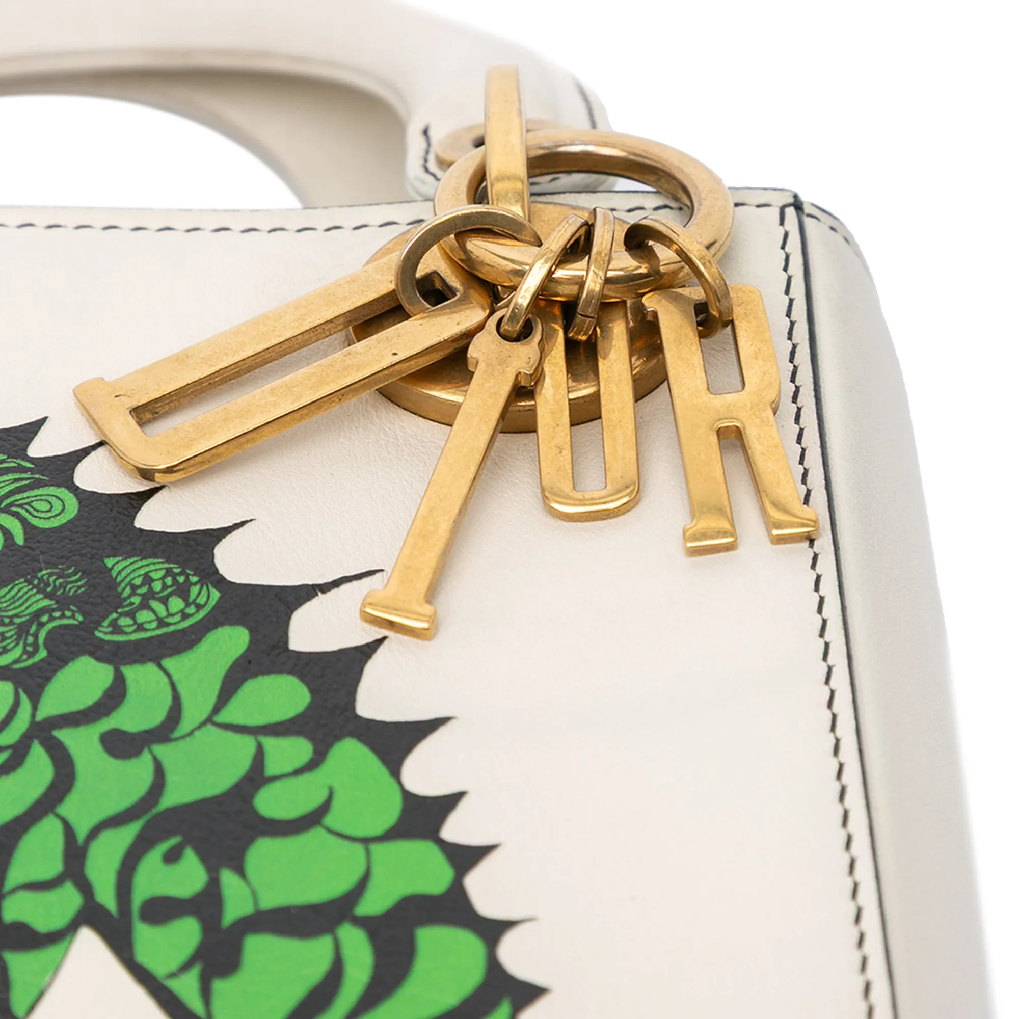 Limited Edition Niki De Saint Phalle Mini Calfskin Dragon Lady Dior