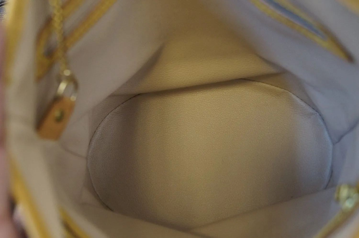 LOUIS VUITTON Bucket PM Monogram Canvas Shoulder Bag