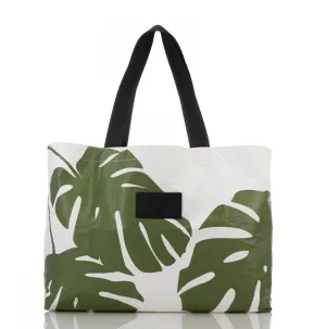 Monstera Holo Holo