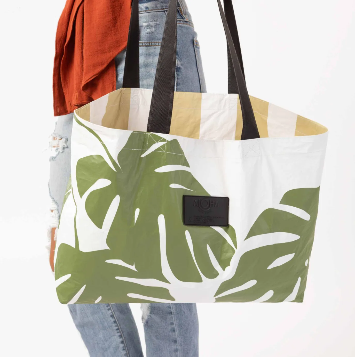 Monstera Holo Holo