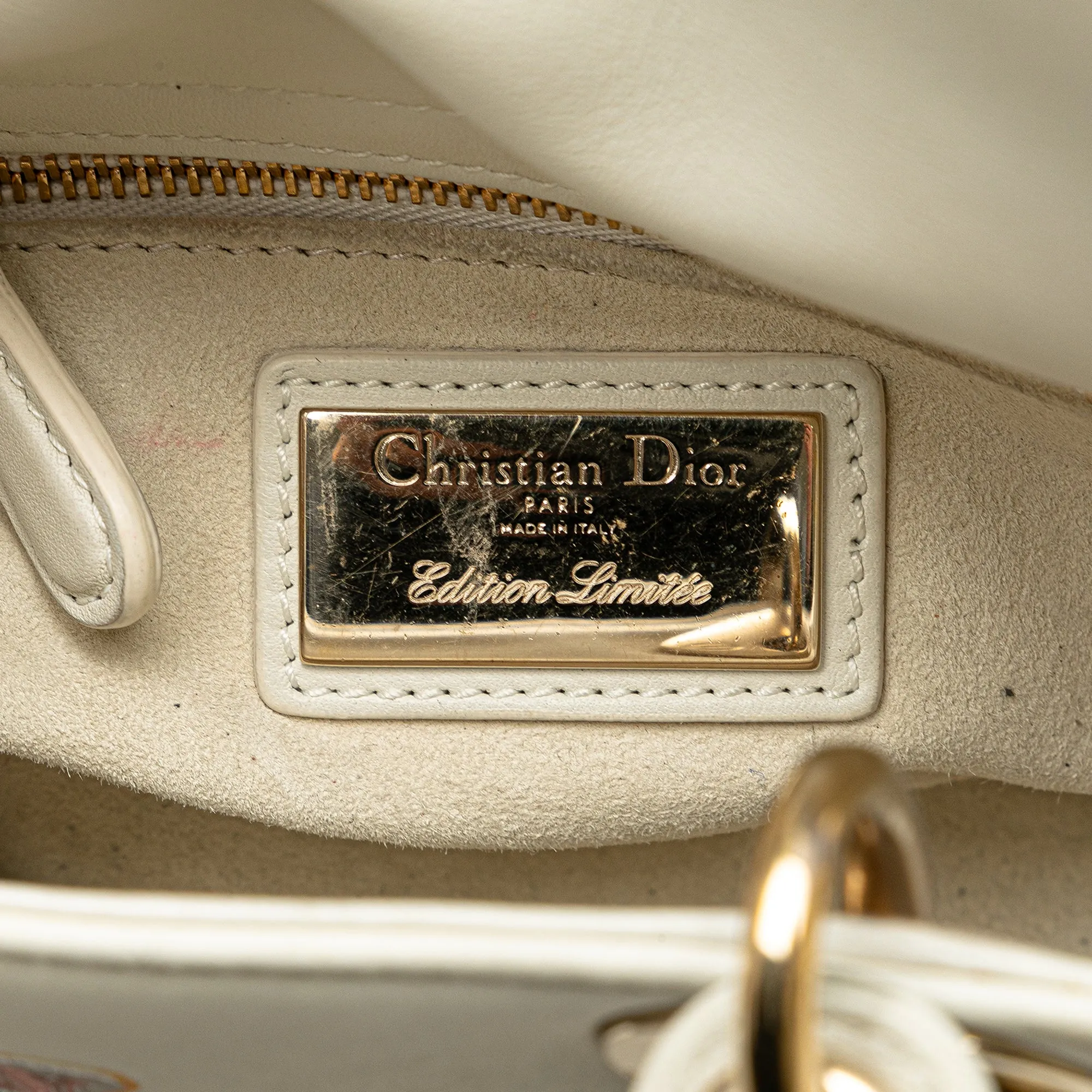 Niki De Saint Phalle Mini Calfskin Dioramour Lady Dior