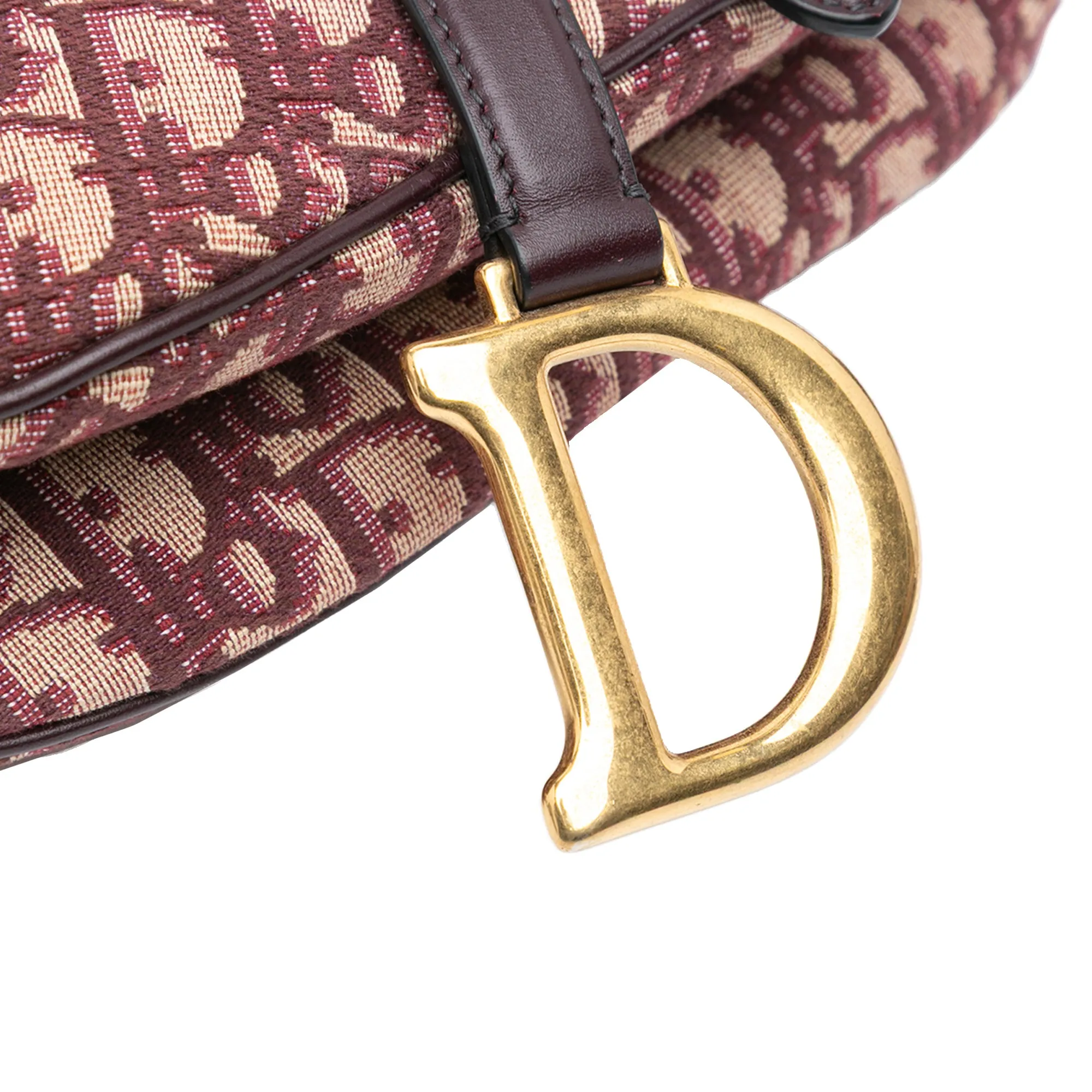 Oblique Canvas Saddle Bag