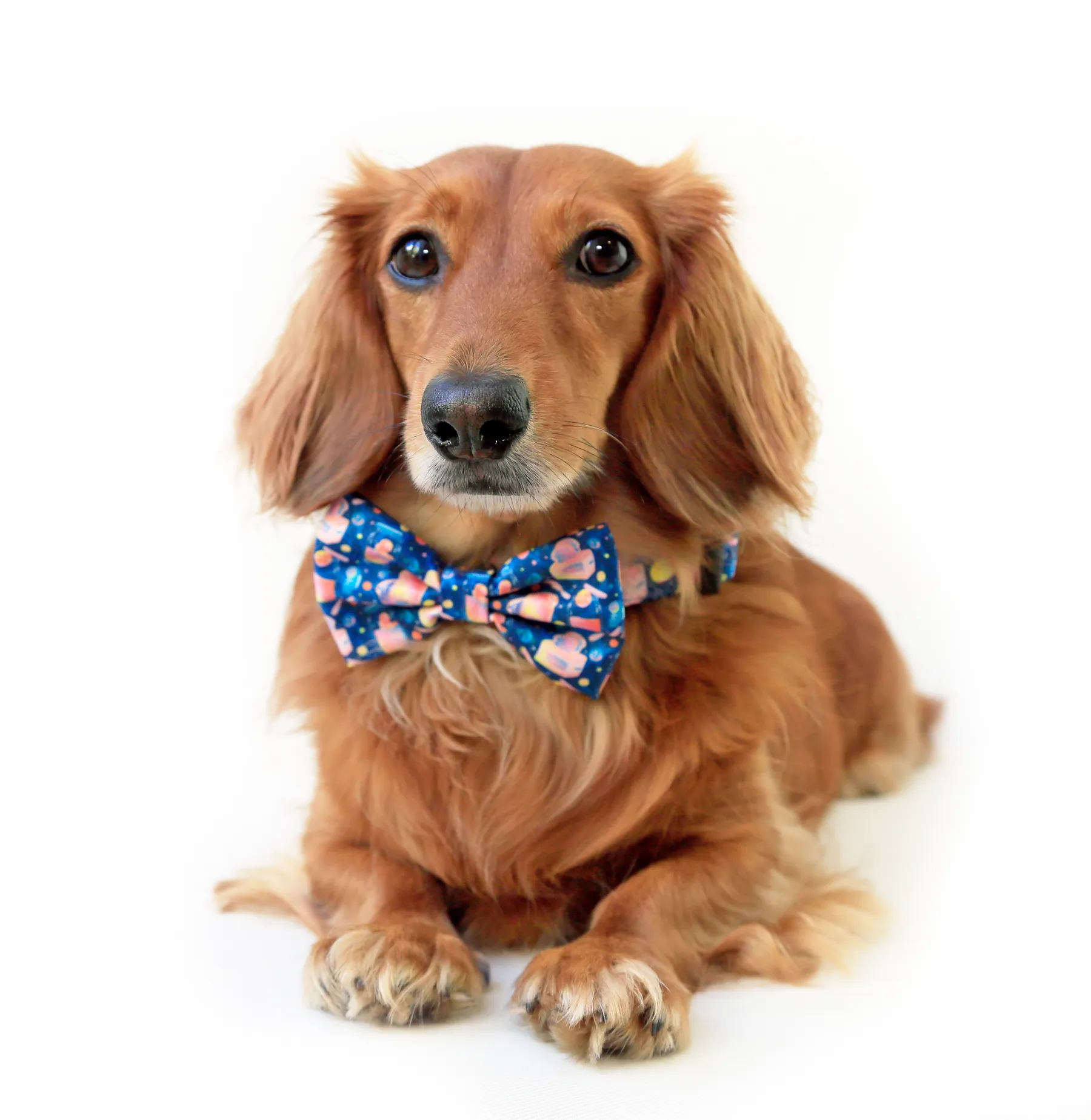 Space jam bow-tie