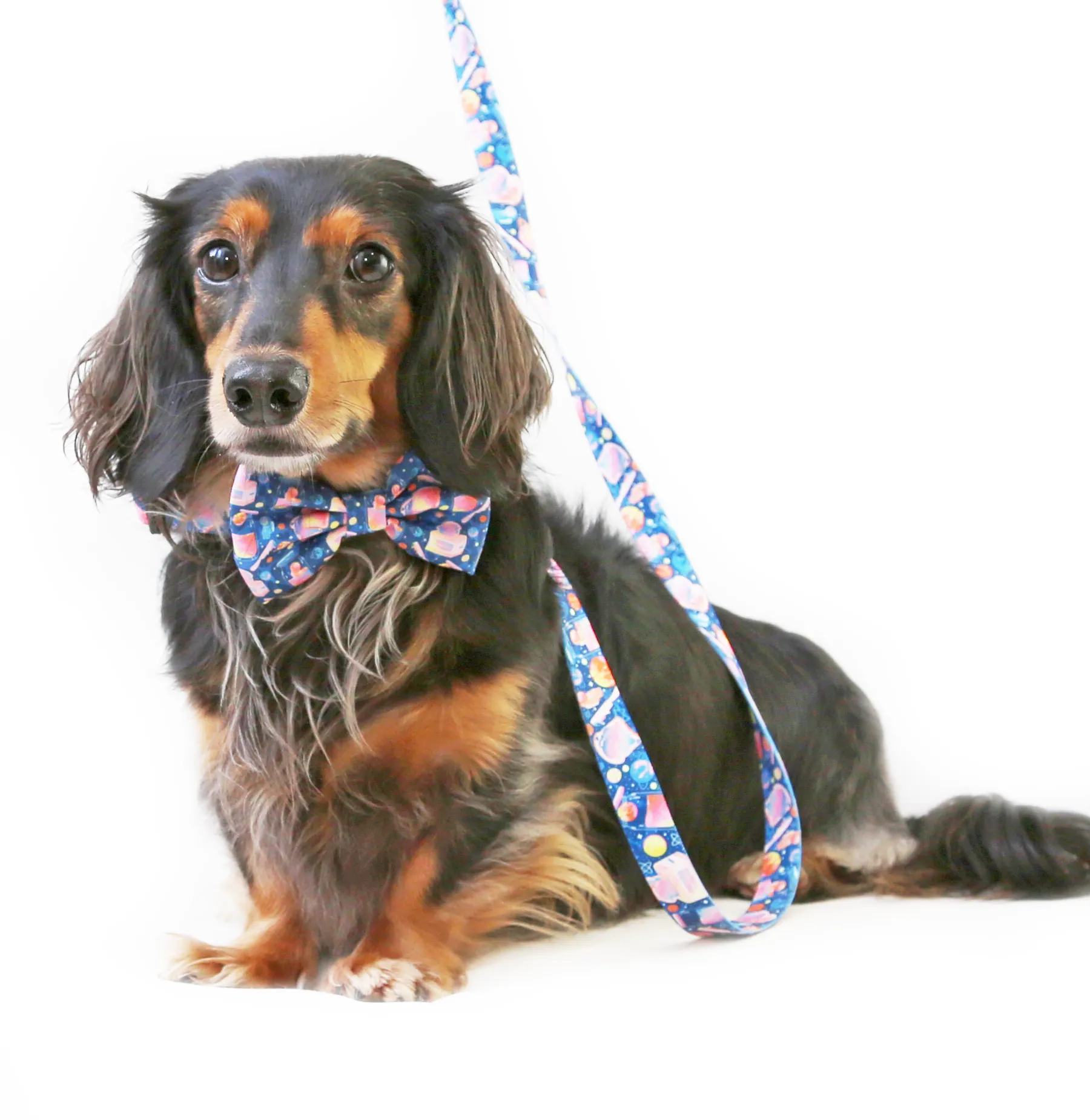 Space jam collar