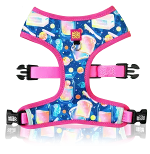 Space jam ft Dinorawr harness