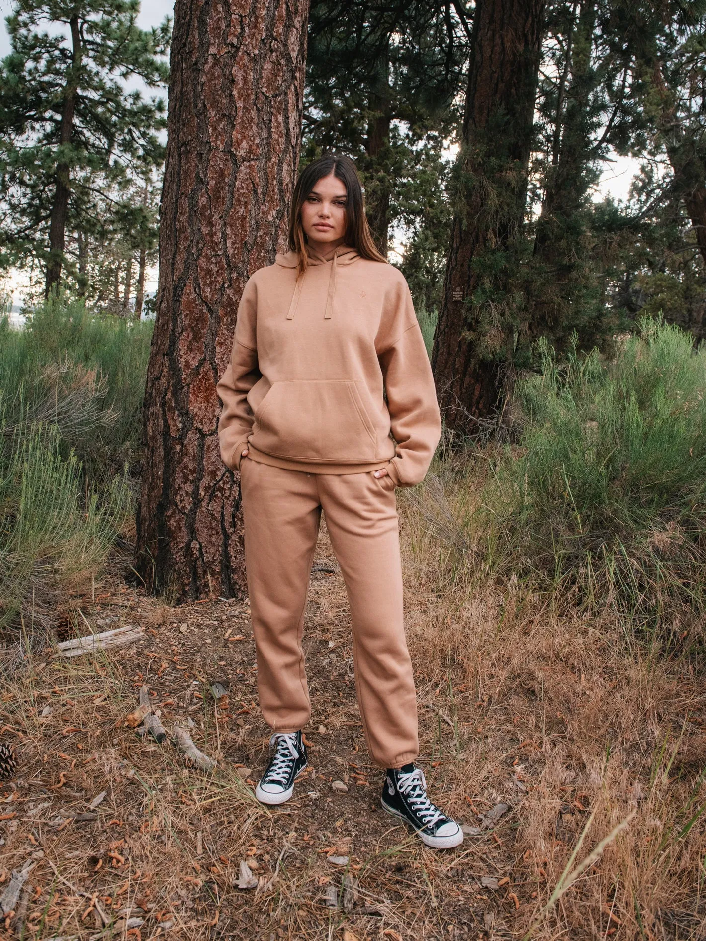 Sweat à capuche Stone Heart Ii  - MOCHA
