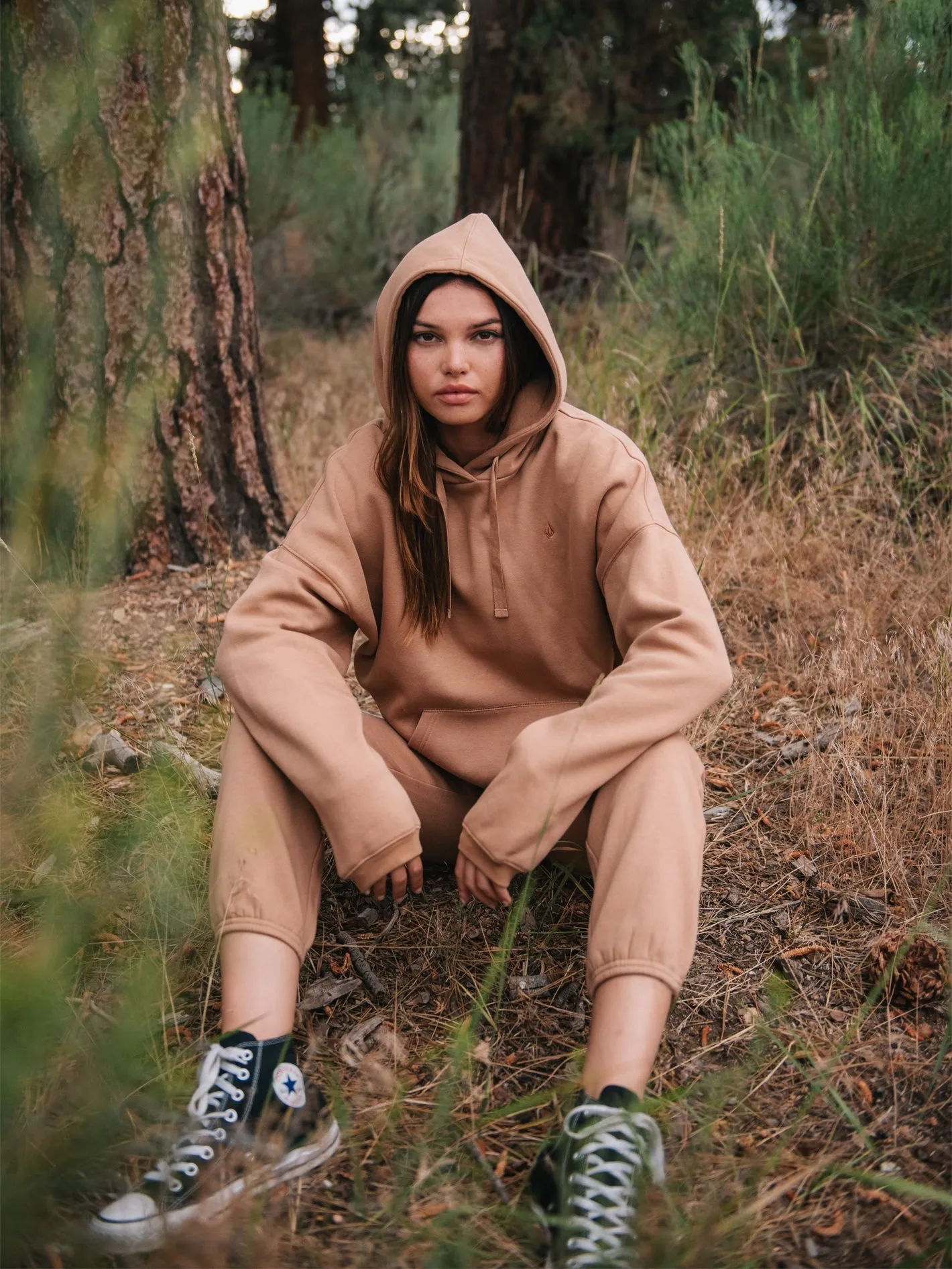 Sweat à capuche Stone Heart Ii  - MOCHA