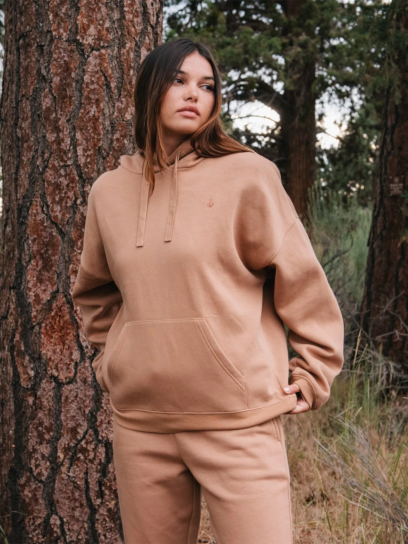 Sweat à capuche Stone Heart Ii  - MOCHA