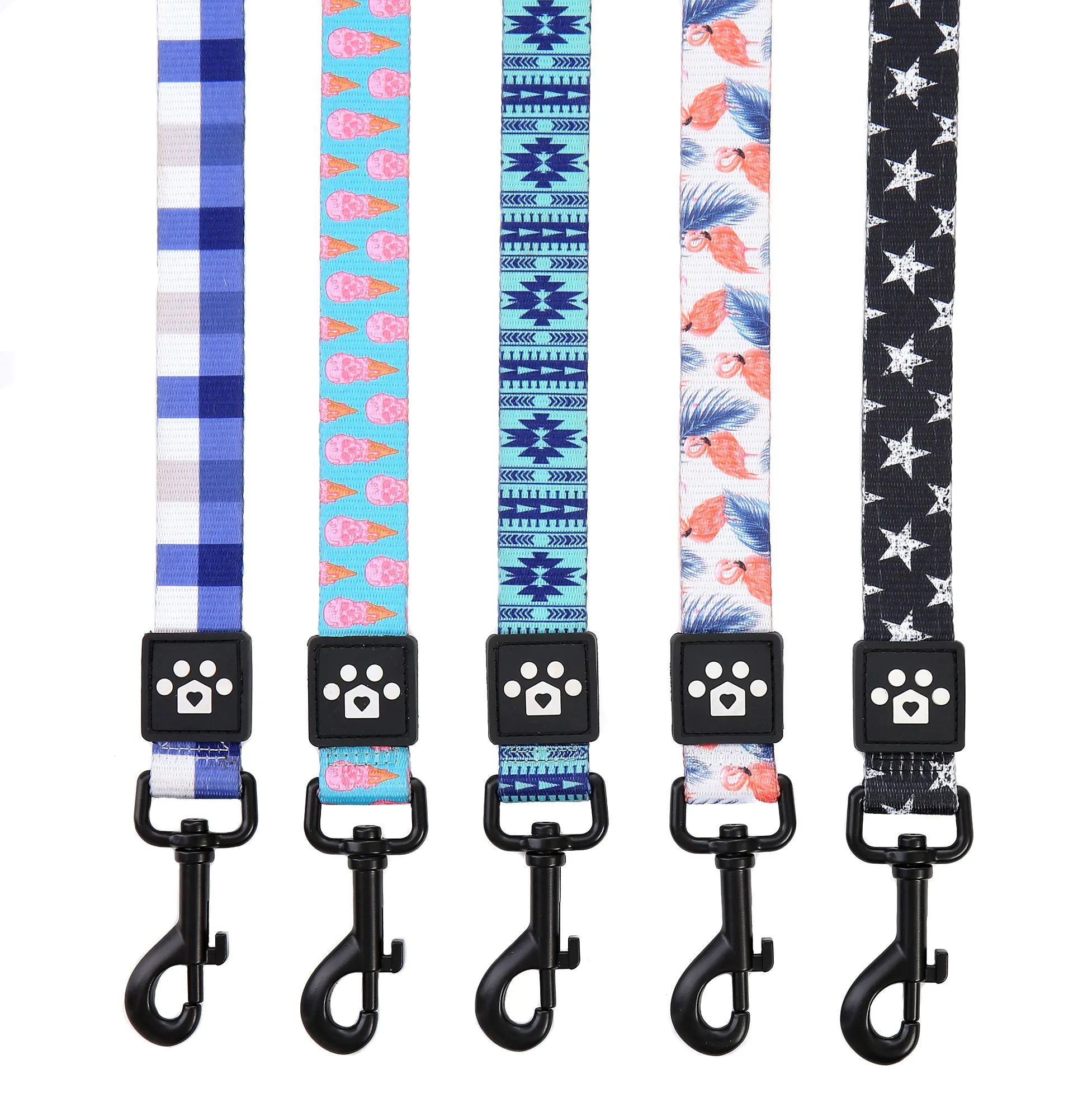 The Flip Side Leash - Aruba