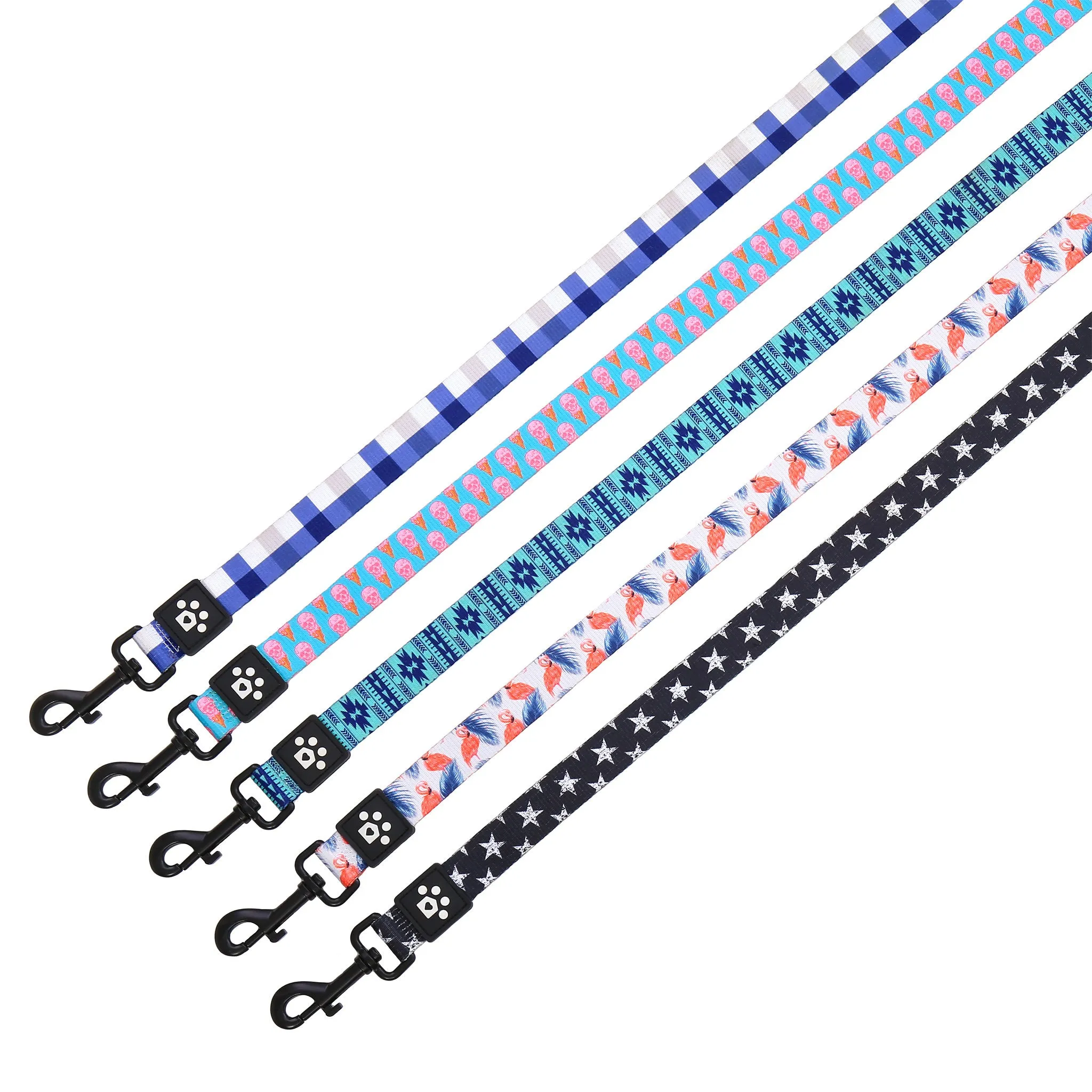 The Flip Side Leash - Aruba