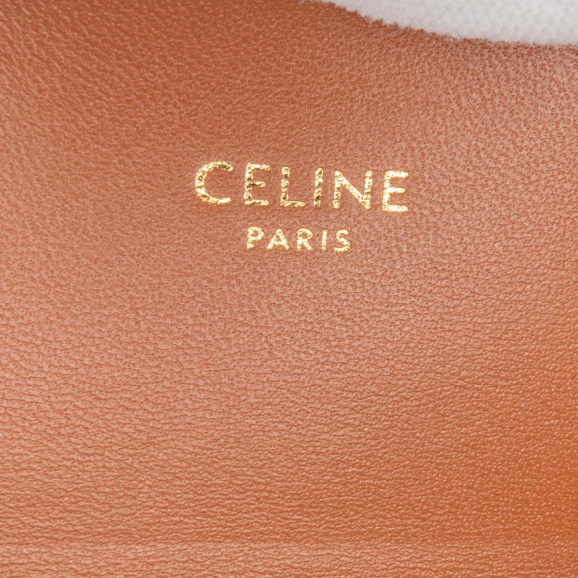 Triomphe Coated Canvas Claude Shoulder Bag