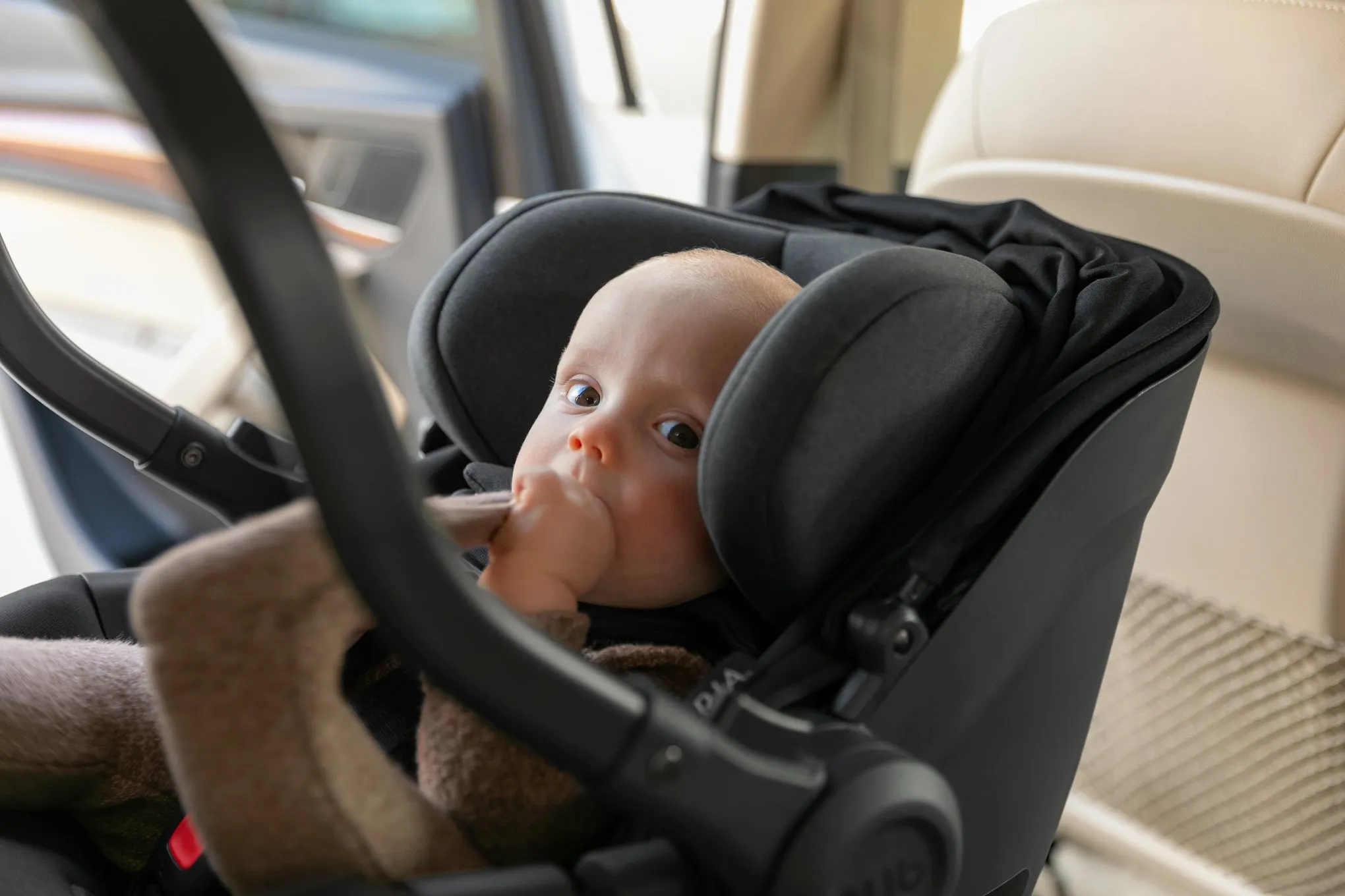 UPPAbaby Aria Infant Car Seat - Jake (Charcoal/Black Leather)