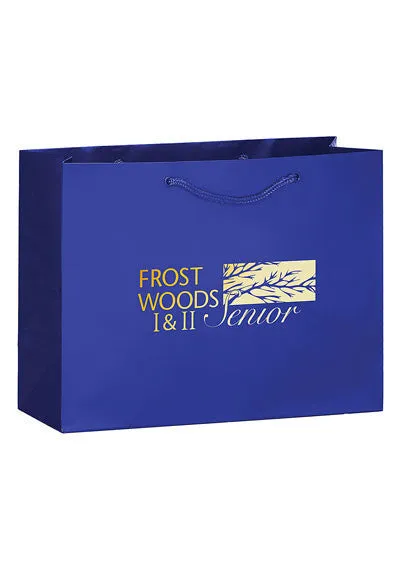 Wholesale Gloss Laminated Euro Tote Bag - 2L13510