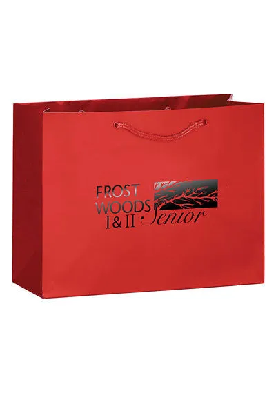 Wholesale Gloss Laminated Euro Tote Bag - 2L13510